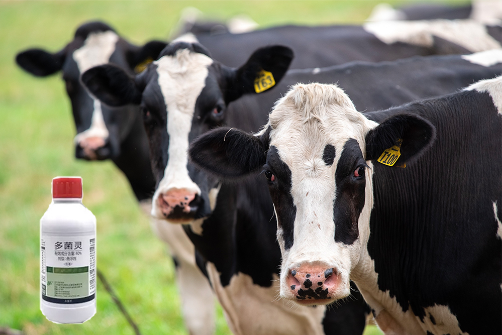 1649669276654393.jpg Carbendazim多菌靈 內(nèi)容圖-中.jpg